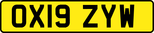 OX19ZYW