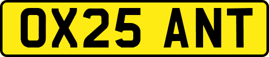 OX25ANT