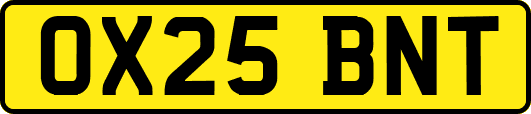 OX25BNT