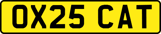 OX25CAT