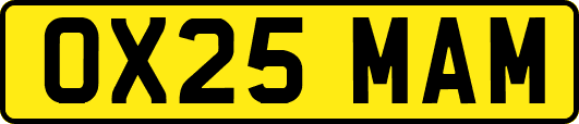 OX25MAM
