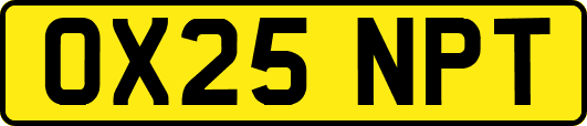 OX25NPT