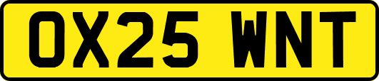 OX25WNT