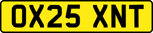 OX25XNT