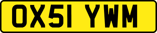 OX51YWM