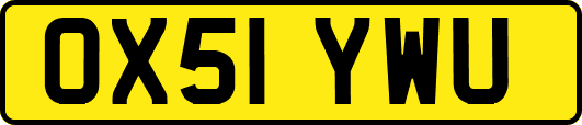 OX51YWU