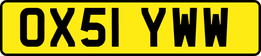 OX51YWW
