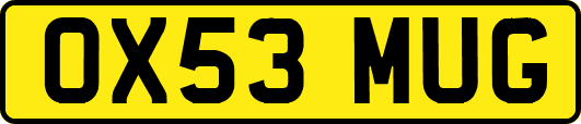 OX53MUG