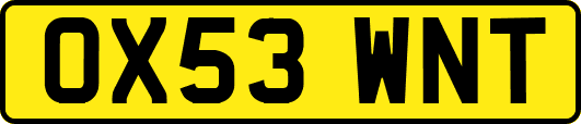 OX53WNT