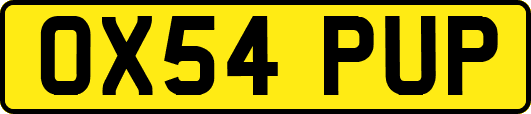 OX54PUP