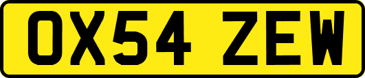 OX54ZEW