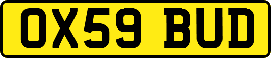 OX59BUD