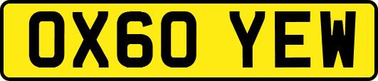 OX60YEW