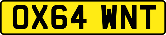 OX64WNT