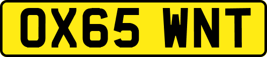 OX65WNT