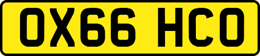 OX66HCO