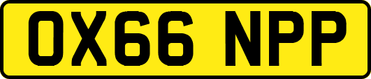OX66NPP