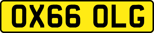 OX66OLG
