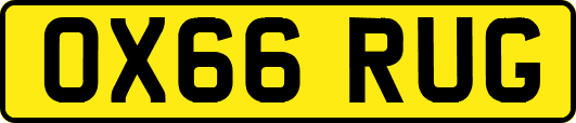 OX66RUG