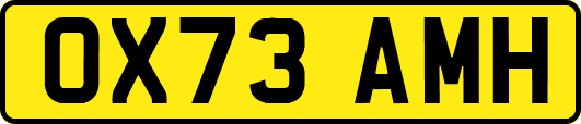 OX73AMH