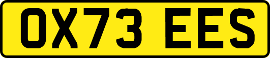 OX73EES