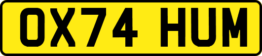 OX74HUM