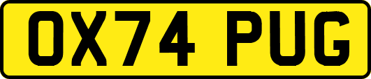 OX74PUG