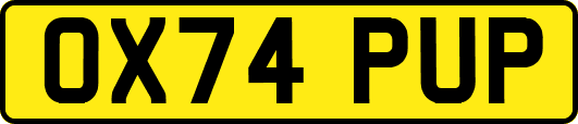 OX74PUP