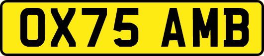 OX75AMB