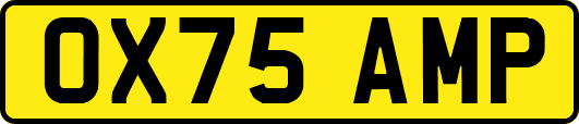 OX75AMP