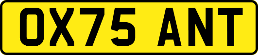 OX75ANT