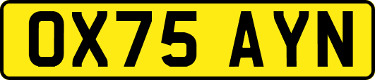 OX75AYN