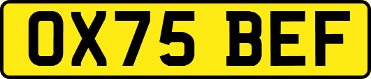 OX75BEF