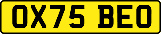 OX75BEO
