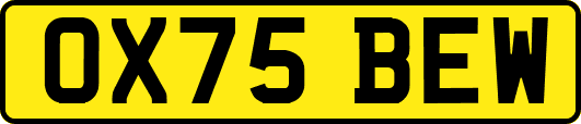 OX75BEW