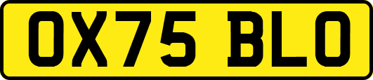 OX75BLO