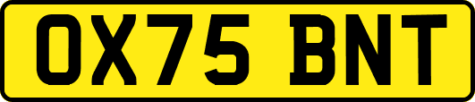 OX75BNT