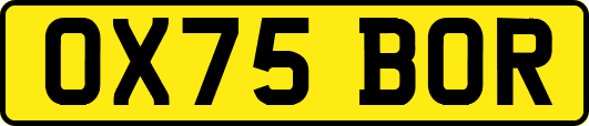 OX75BOR