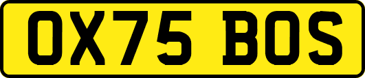 OX75BOS