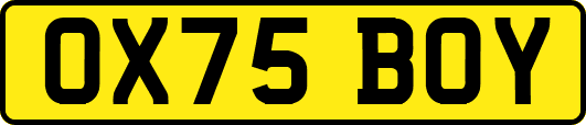 OX75BOY