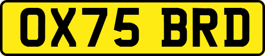 OX75BRD
