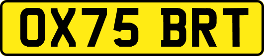 OX75BRT