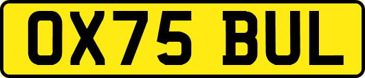 OX75BUL