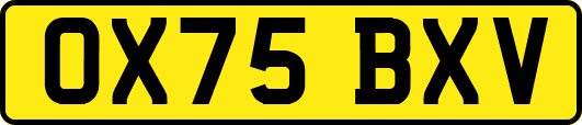 OX75BXV