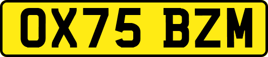 OX75BZM