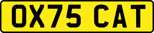OX75CAT