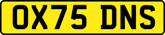 OX75DNS