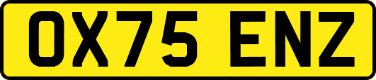 OX75ENZ
