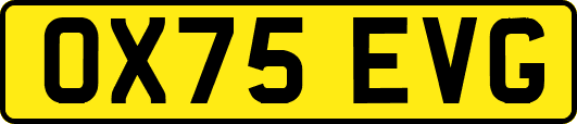 OX75EVG