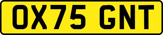 OX75GNT
